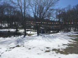 IMG_8009 - Copy - Copy (2)